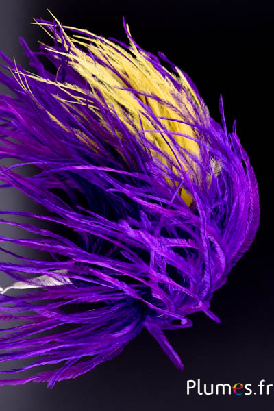 Plumet autruche avec anneau - ht 22-28 cm - aubergine-jaune